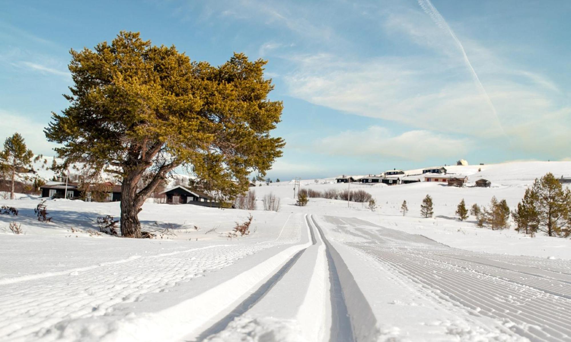 Rondane Haukliseter Fjellhotell Høvringen Esterno foto
